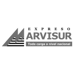 marvisur
